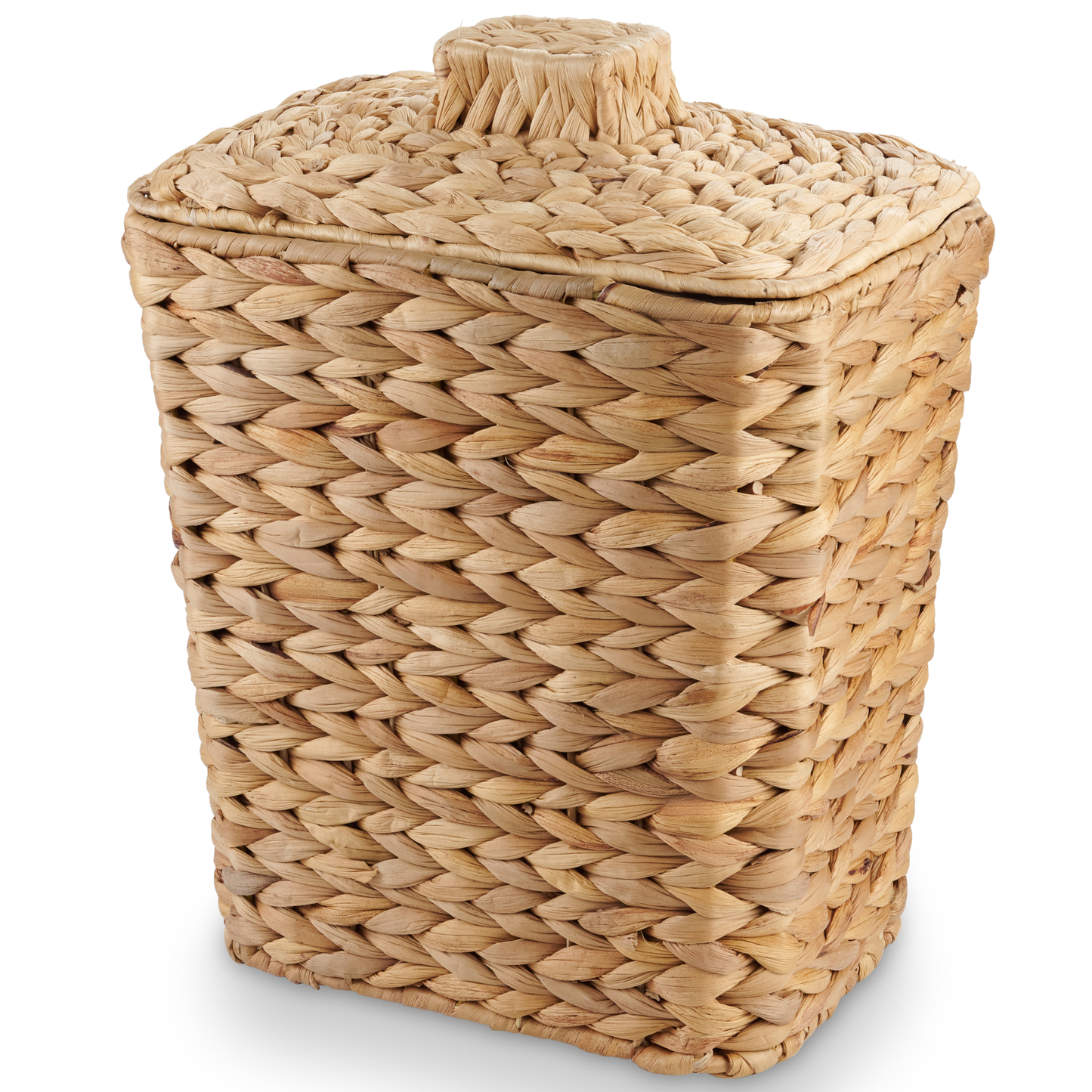 Wicker Trash Can with Lid and Liner